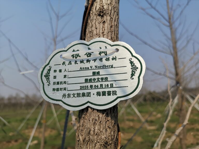 跨越山海 绿意传情：挪威中文学校参与长城植树活动